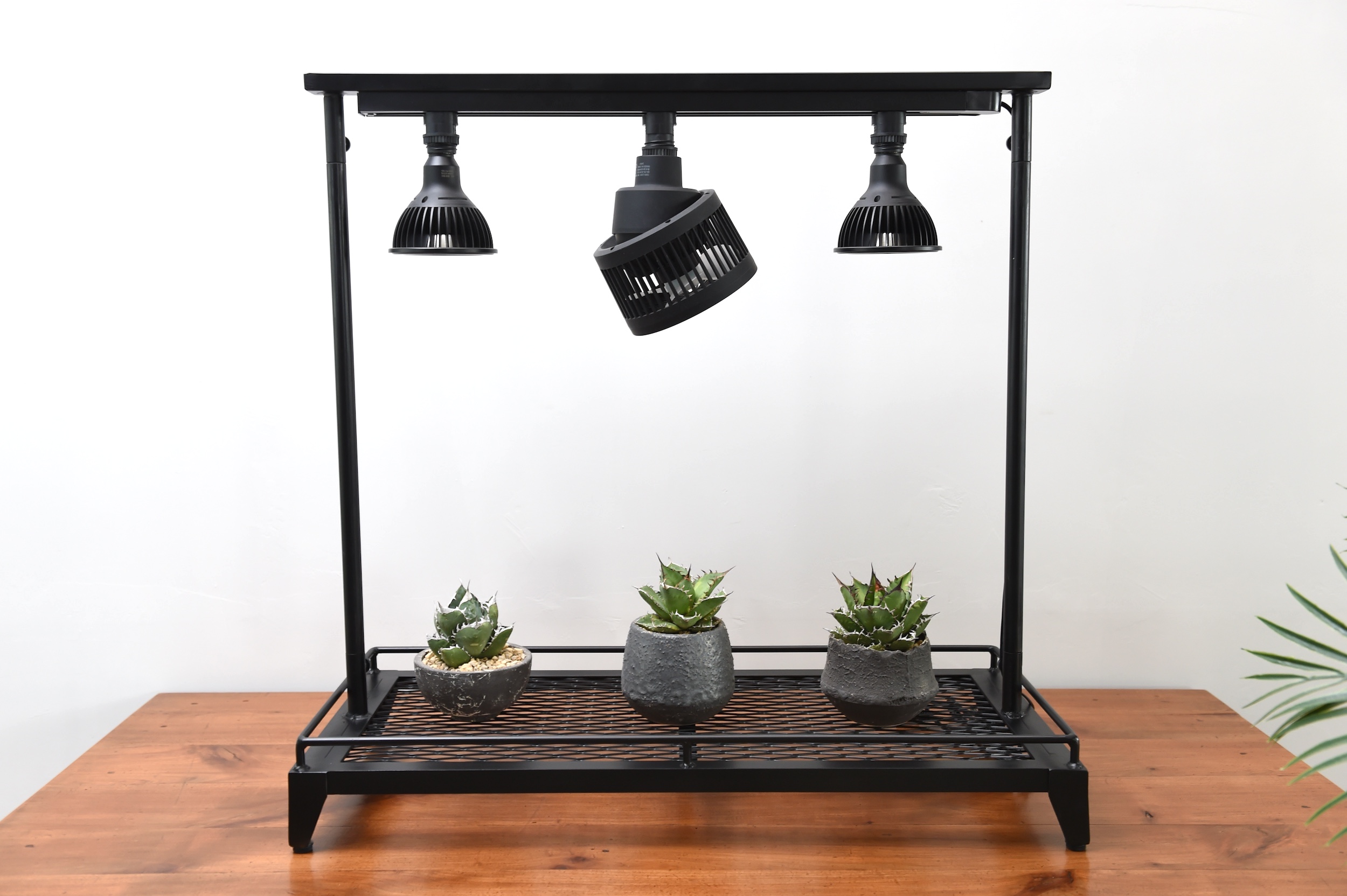 Lighting botanical rack /